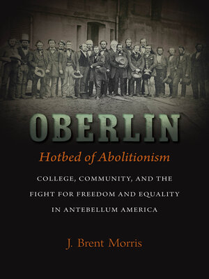 Oberlin, Hotbed of Abolitionism - ebook